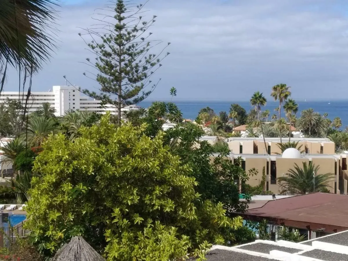 Playa De Las Americas Ponderosa Ξενοδοχείο Διαμέρισμα Πλάγια ντε λας Αμέρικας